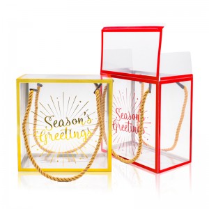 Clear Candy Gift Box Clear PET Plastic Boxes Gift Boxes for Party Favors Birthday Presents